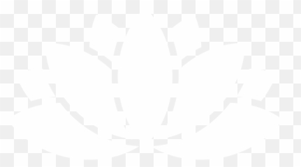 Shopify Stores That Launched - Large White Emoji,Glass Case Of Emotion Merchandise