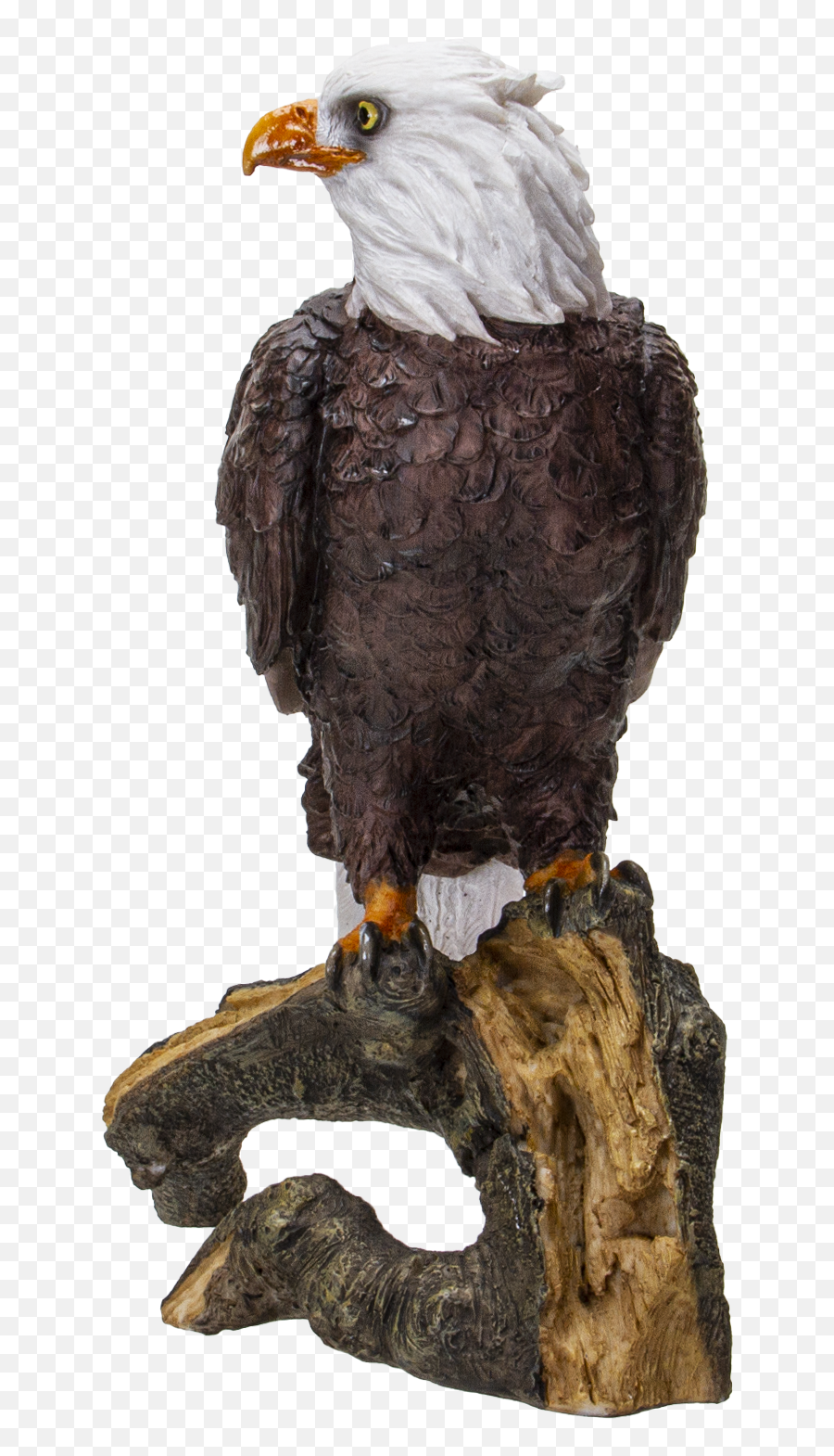 American Eald Eagle Perching - Bald Eagle Emoji,Eagle Emoticon Ipad