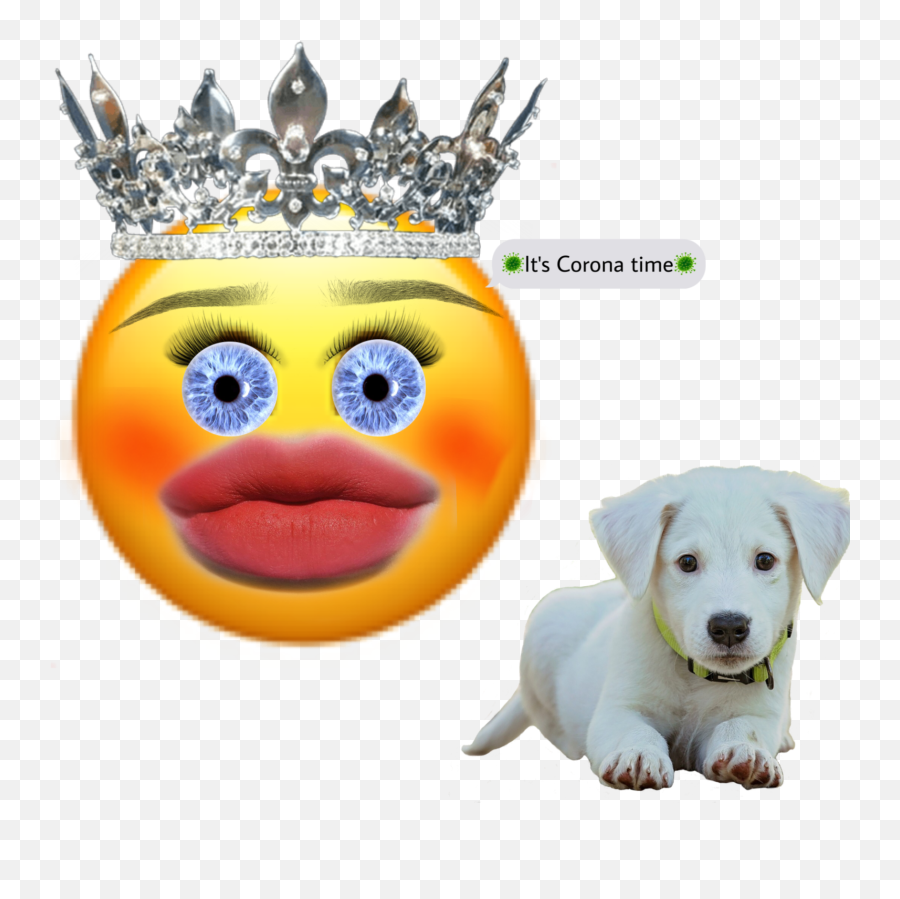 Image By Caesify4cco7w4scps9 Emoji,Dog On Bumm Emoticons