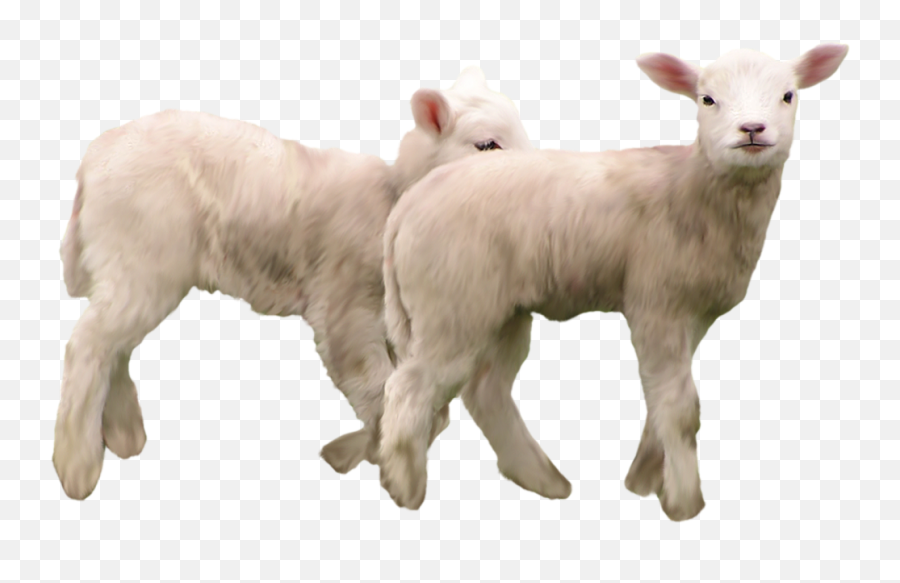 Goat Png Photos - High Quality Image For Free Here Emoji,Goat Emojis