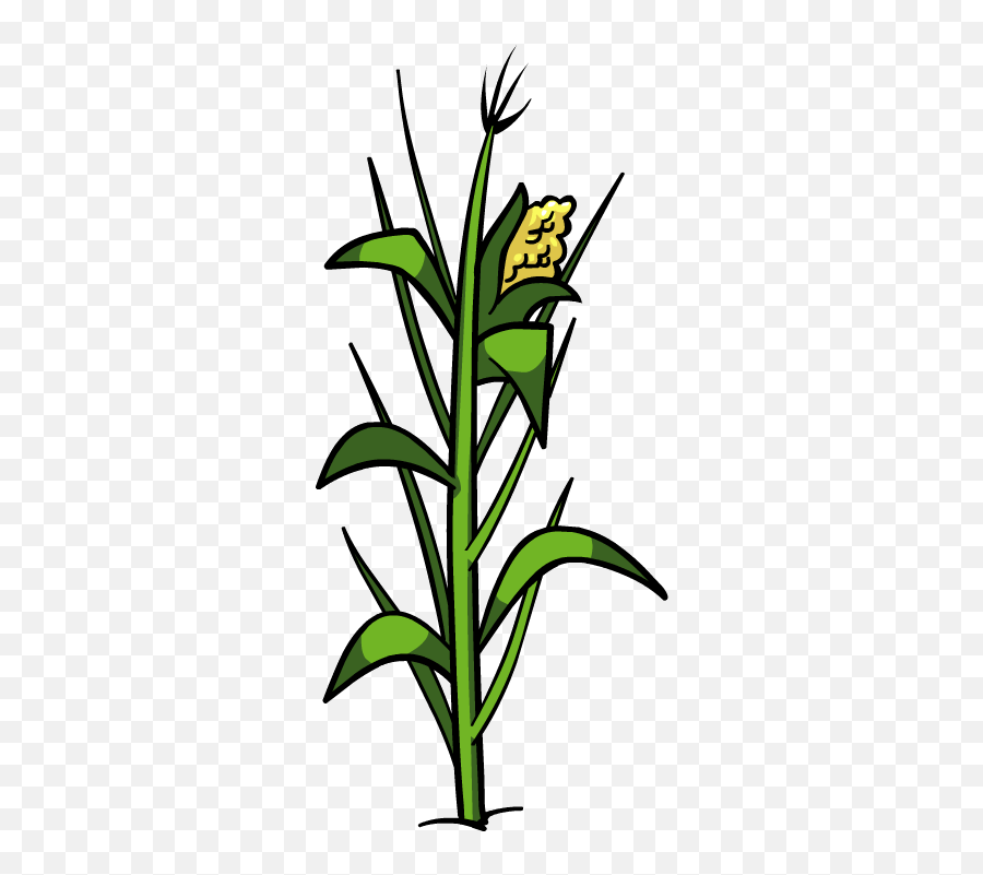 Corn Plant Png File Png Mart Emoji,Emojis Corn