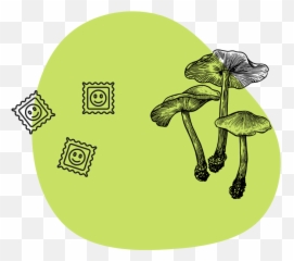 Amanita Muscaria Fly Agaric U2014 The Psychedelic U201cmario Emoji,Alice In Wonderland Emoji Combo
