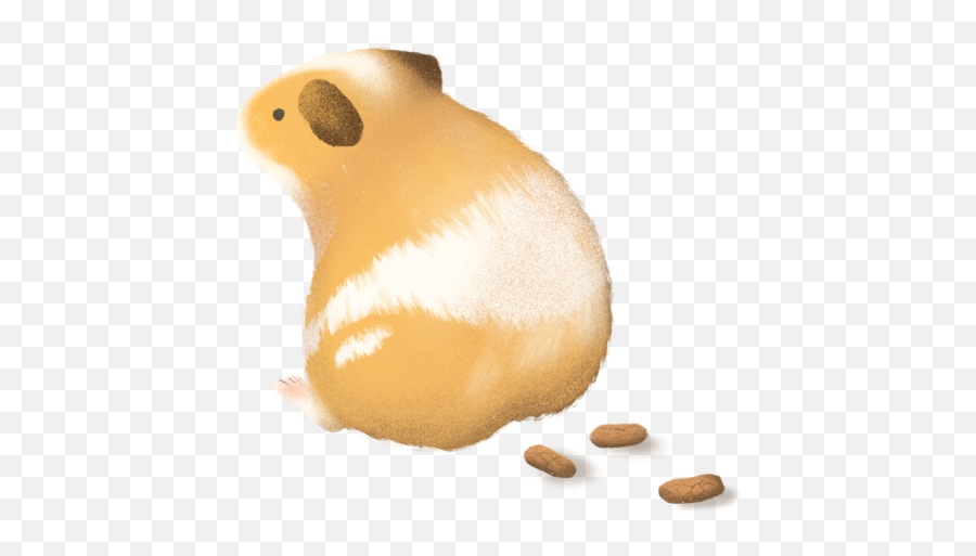 Guinea Pig Poop Chart 2020 - My Guinea Pig Poop Is Light Brown Emoji,Guinea Pig Emoticon