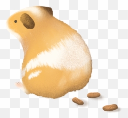 Guinea Pig Poop Chart 2020 - My Guinea Pig Poop Is Light Brown Emoji,Guinea Pig Emoticon