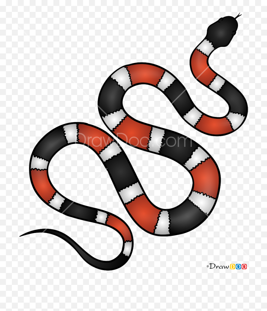 How To Draw Royal Snake Snakes - Milk Snake Emoji,Snakes Emoji