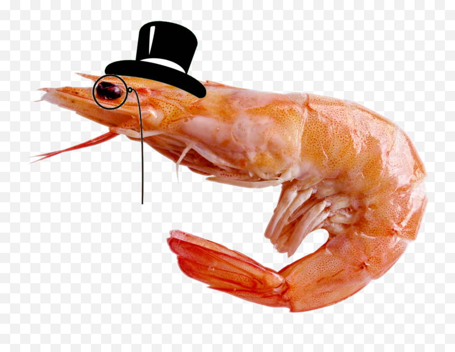 The Most Edited - Mini Shrimp Emoji,Prawn Emoji