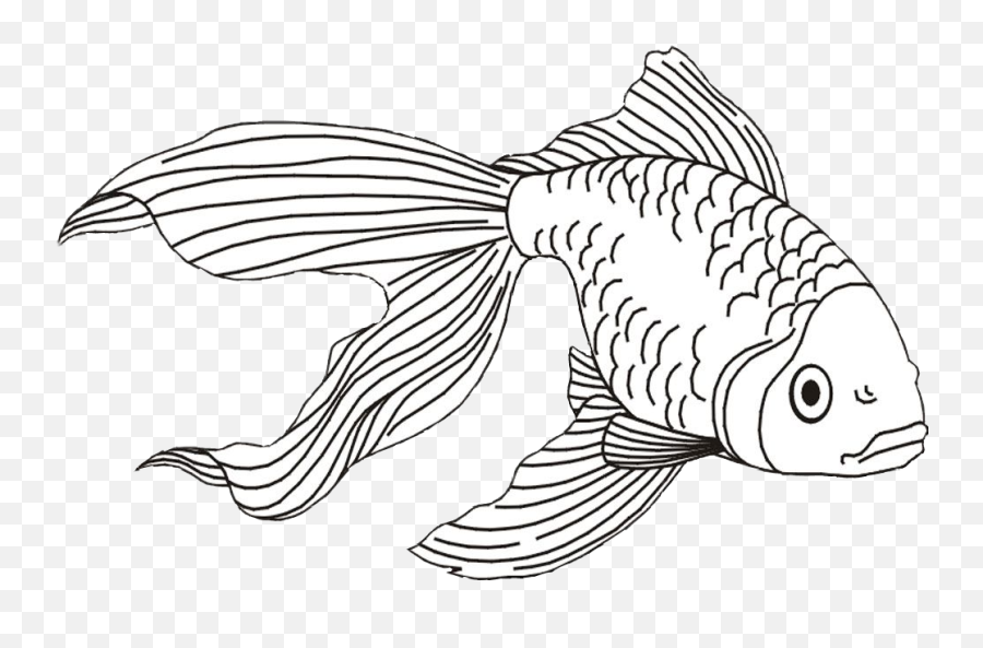 Download Goldfish Clipart Beta Fish - Ocean Animal Realistic Drawing Emoji,Gold Fish Emoji