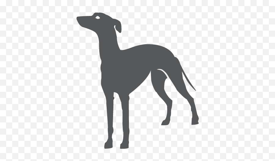 What Is Sighthound Sighthound Art - Rampur Greyhound Emoji,Expressing Emotions Through Art