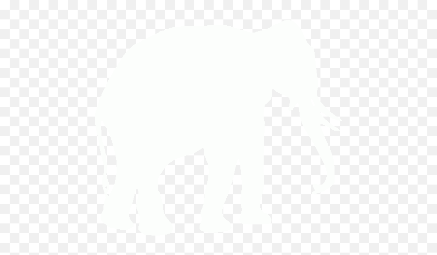 White Elephant Icon - Yellow Elephant Icon Png Emoji,How To Make Emoticon Elephant