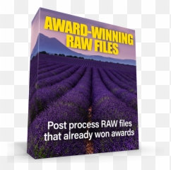 Fine Art Landscape Photography Vip Coaching Program - English Lavender Emoji,Straight Raw Emotion
