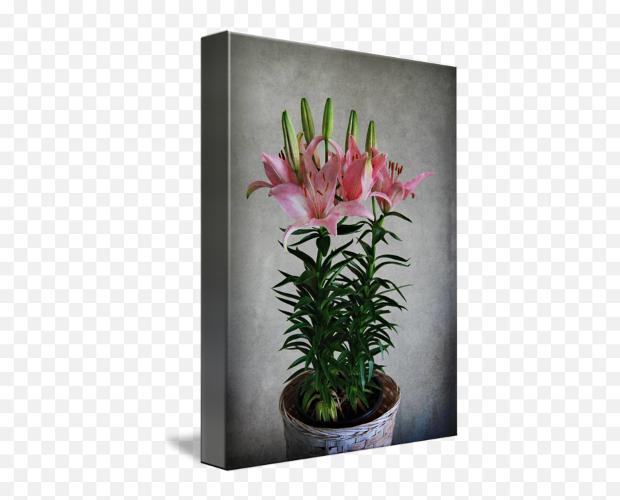 Lillys - Tiger Lily Emoji,Plants Emotions Art