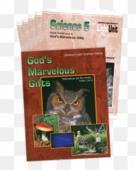 Science U2022 Grade 5 - Curriculum Emoji,8 Basic Emotions And Their Gifts Worksheet