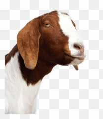 Goat Png Image Png Arts Emoji,Goat Emojis