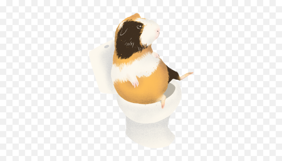 Guinea Pig Poop Chart - Soft Emoji,Guinea Pig Emoticon