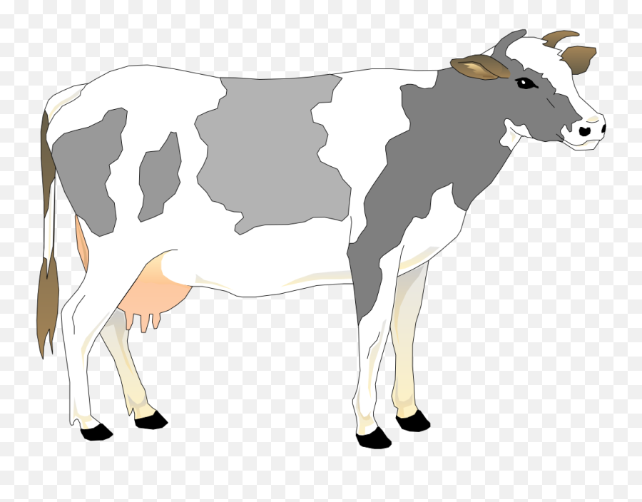 Cow Clipart Cow Indian Cow Cow Indian - Realistic Cow Clip Art Emoji,Holy Cow Emoji