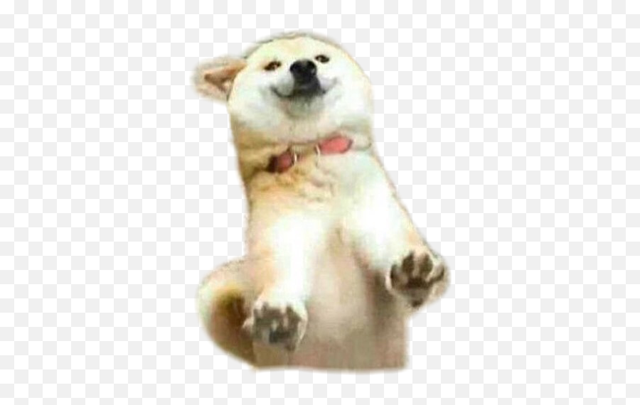 Shibe Doggo Doge Dog Sticker - Frend Hold Up Emoji,Shibe Emoji