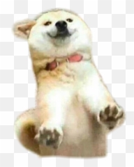 Shibe Doggo Doge Dog Sticker - Frend Hold Up Emoji,Shibe Emoji