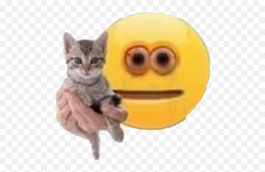 Cat Kitten Meme Emoji Sticker By Linkbevandapadilla - Cursed Emoji With Cat,Scary Emoji