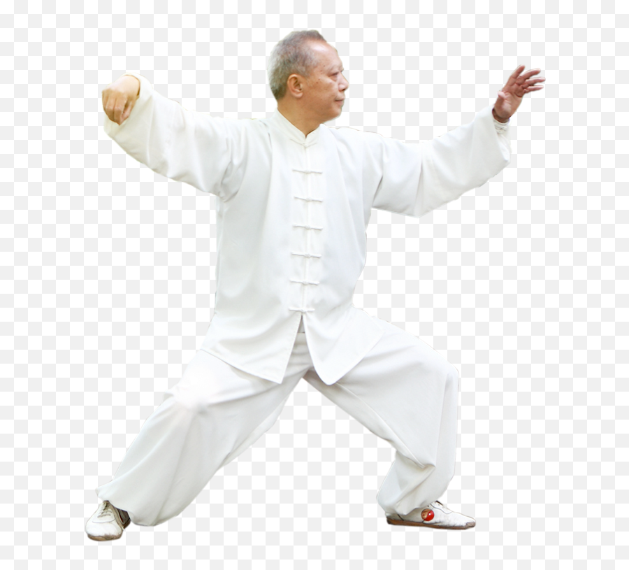 Learn Tai Chi - Martial Artist Emoji,Tai Chi And Seven Emotions