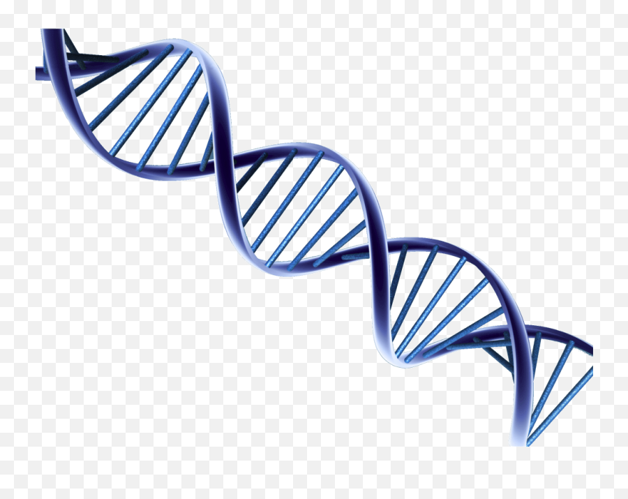 Antisense Rna Technology - Dna Png Emoji,Emoticon Dna Strand