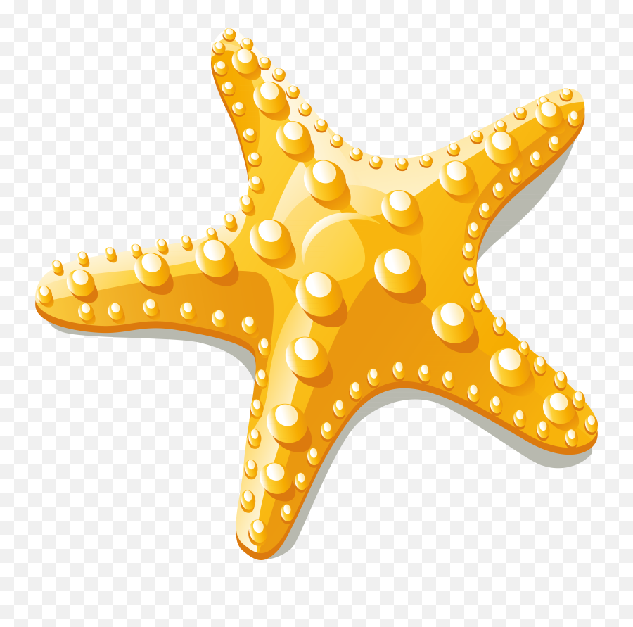 Download Starfish Euclidean Vector Clip Art - Starfish Starfish Clipart Png Emoji,Starfish Emoticon For Facebook