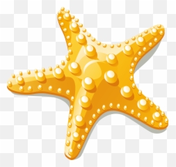 Download Starfish Euclidean Vector Clip Art - Starfish Starfish Clipart Png Emoji,Starfish Emoticon For Facebook