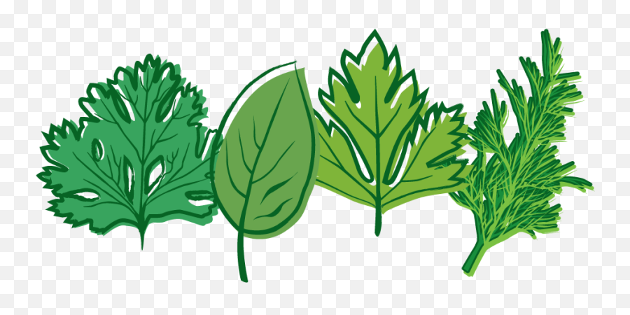 Herb Png Images U0026 Free Herb Imagespng Transparent Images - Transparent Background Herbs Clipart Emoji,Herb Emoji