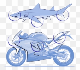 91 Gambar Bentuk Ikan Hd - Gambar Pixabay Emoji,Emoticons For Vapp