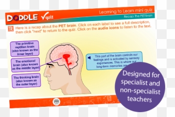 Pshee Doddle - For Adult Emoji,Labeling Emotions Worksheet