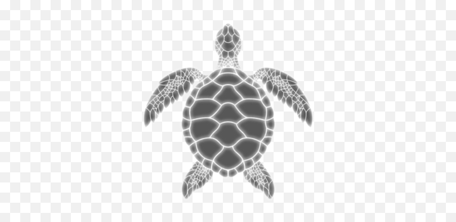 Intro Free Home Emoji,Turtle Emoji