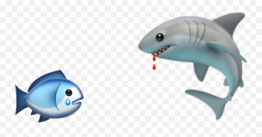 Sticker - Fish Emoji,Fish Emoji