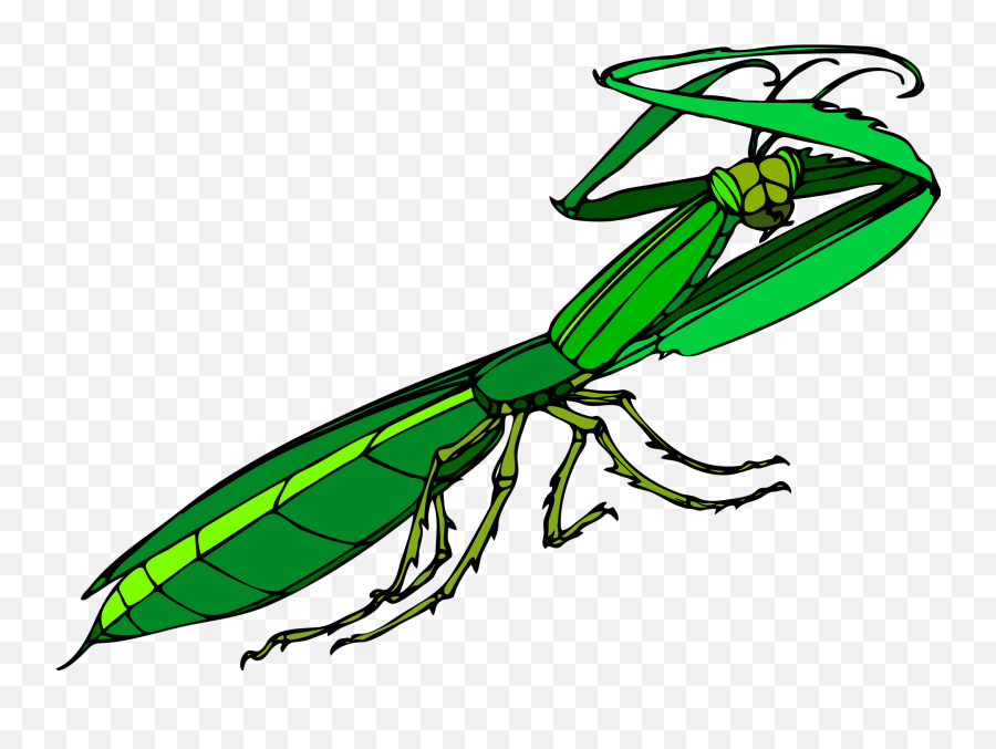 Praying Mantis Clipart - Praying Mantis Vector Art Emoji,Cicada Emoji