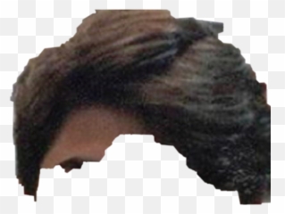 Transgender Try This Sticker - Hair Design Emoji,Levi Face Emoji