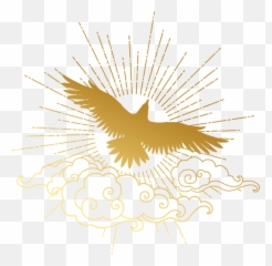Psychic Readings Samaj Raphael - Falconiformes Emoji,Body Readings For Emotions