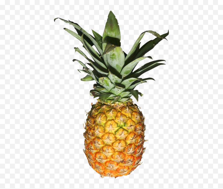 Pineapple Png Transparent - Transparent Pineapple Png Translucent Pineapple Transparent Background Emoji,Fruit Vegetable Emojis No Background
