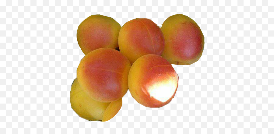 Round Peach Peaches Bundle Fruit Sticker By Iamsam - Peach Emoji,Peaches Emoji