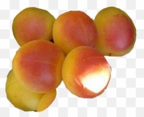 Round Peach Peaches Bundle Fruit Sticker By Iamsam - Peach Emoji,Peaches Emoji