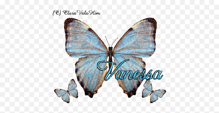 60 V A N E S S A Ideas Names My Daughter Quotes Vanessa - Vanessa Name Emoji,