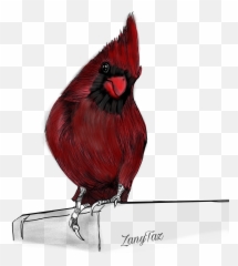 Red Cardinal Bird Drawing Sticker - Northern Cardinal Emoji,Red Bird Emoji