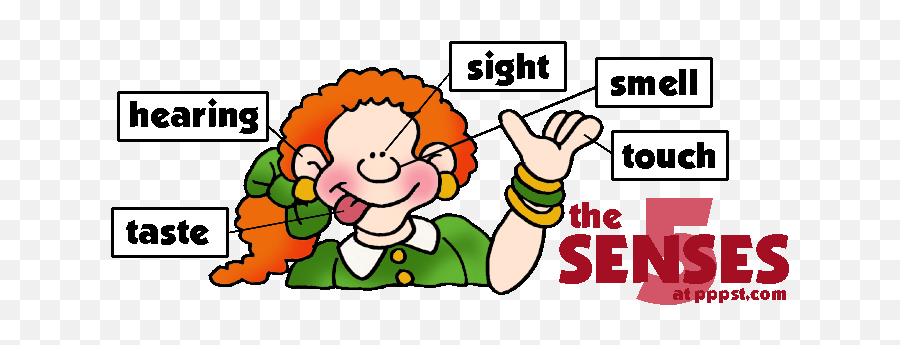 Senses Preschool Kindergarten Science - Sense Organs Ppt Background Emoji,Emotions Senses Preschool Theme