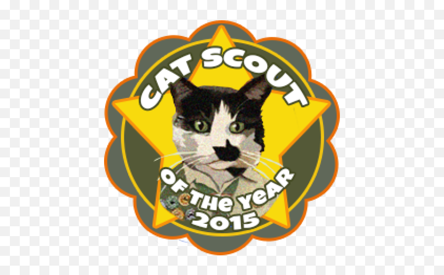 The Cat On My Head Is Thankful For A Cat Scouts Memorial For Emoji,Kitty Paws Emoticon