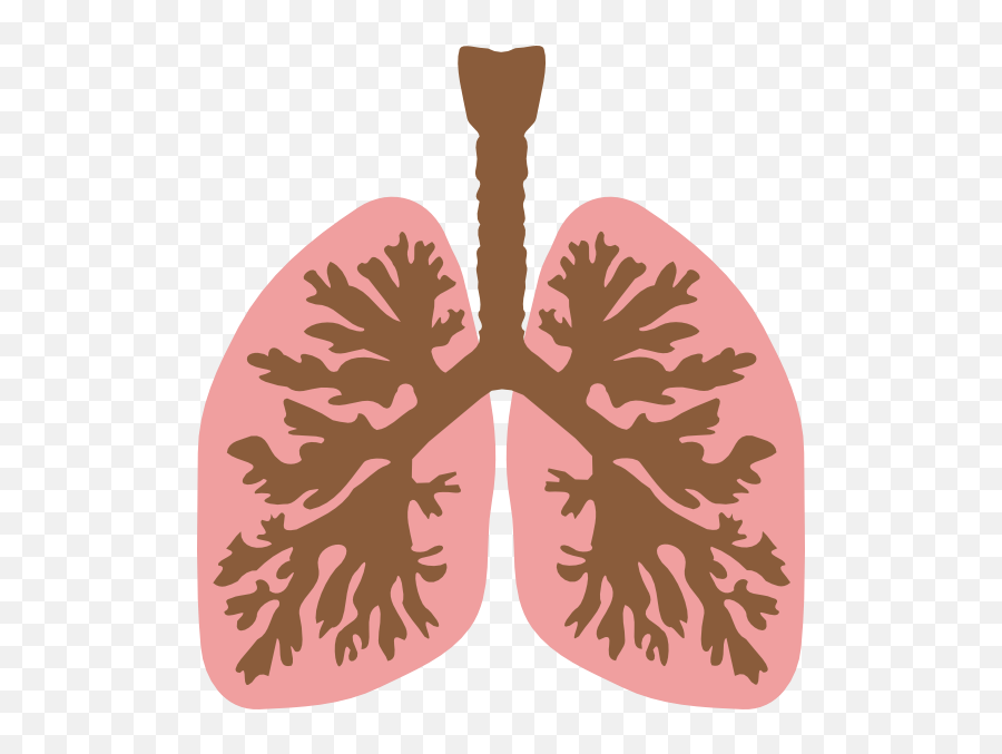 Free Lungs Outline Cliparts Download Free Lungs Outline Emoji,Mesothelioma Emoji