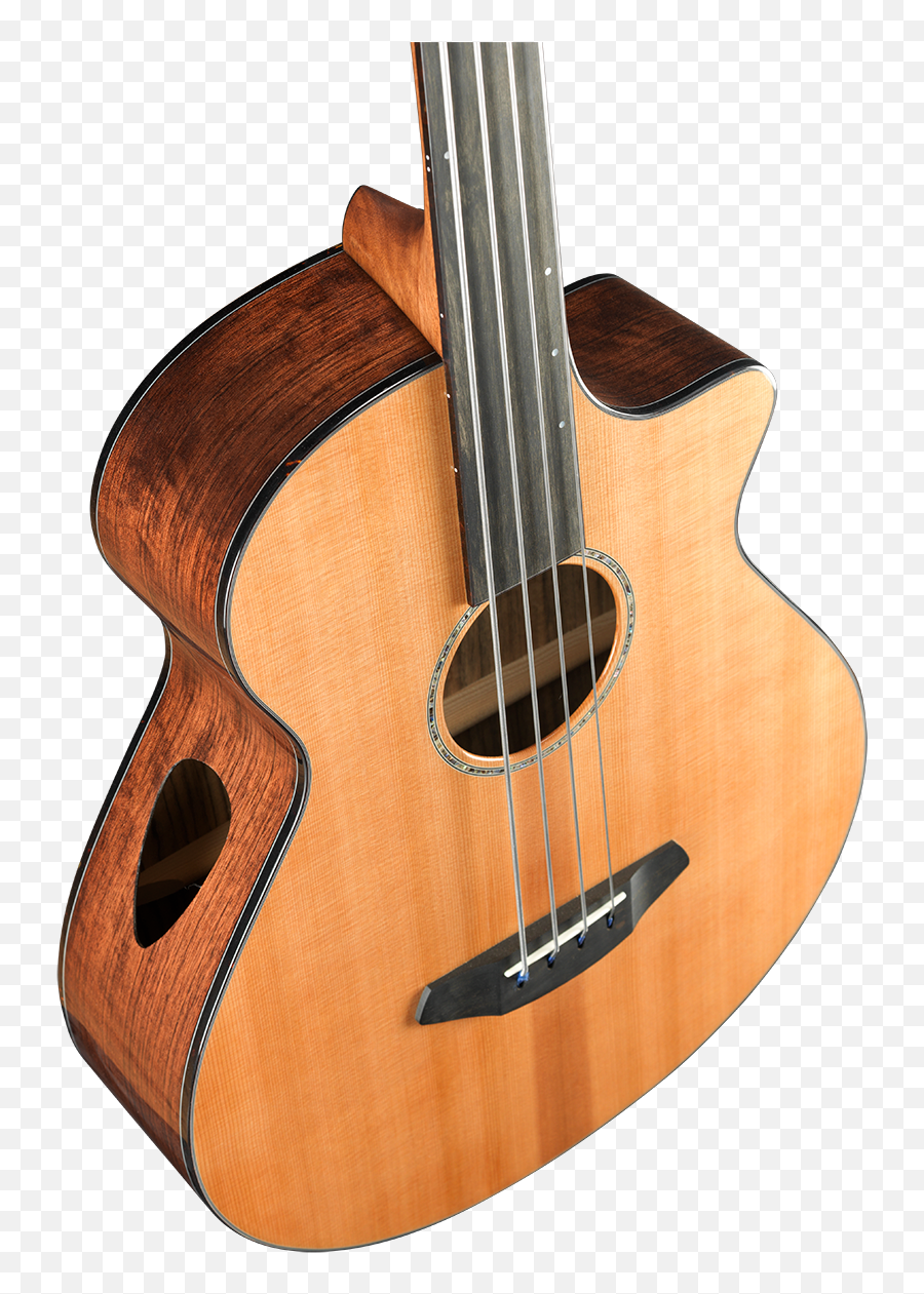 Solo Jumbo Fretless Bass Ce - Breedlove Fretless Bass Emoji,Lost In Emotion Bass