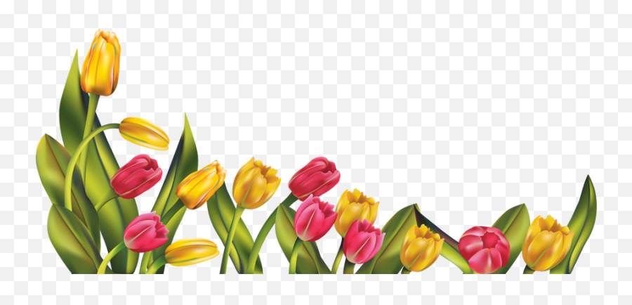 April Png Borders U0026 Free April Borderspng Transparent - Spring Flowers Border Emoji,Borders Emoticon.