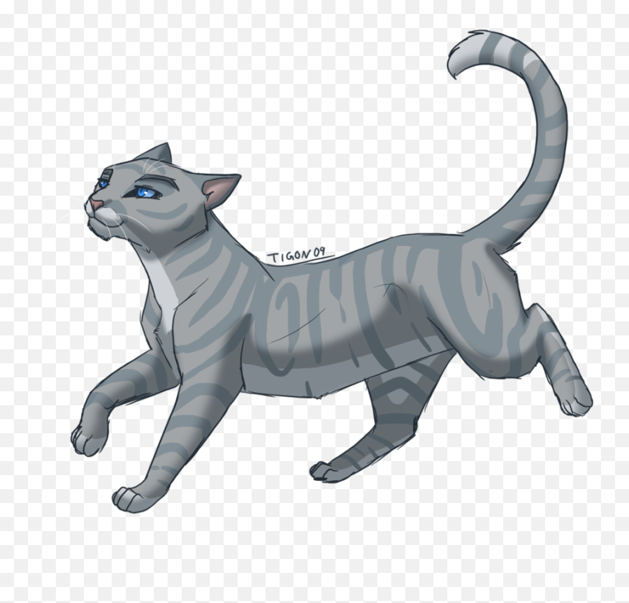 Grey Cat With Blue Eyes Clipart - Silverstream Warrior Cats Png Emoji,Grey Cat Emoji