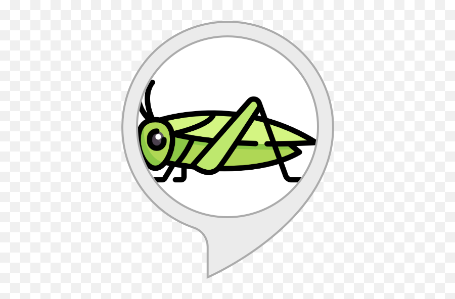 Alexa - Cricket Bug Icon Emoji,Cricket Sound Emoji