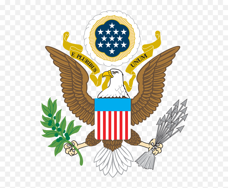 Seal Usa Eagle Flag United States Symbol Emblem 2 Kids T - Shirt Emoji,Seal Emoji On Iphone