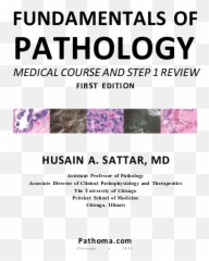 Pdf Fundamentals Of Pathology Medical Course And Step 1 - Vertical Emoji,Night Moves Colored Emotions Rar