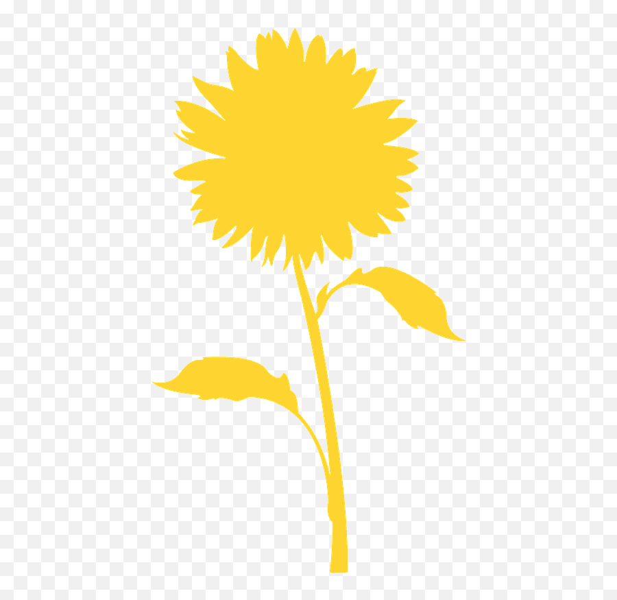 Vector Sunflower Girassol Png - Best Succulent Ideas Fresh Emoji,Frozen Fever Emoji