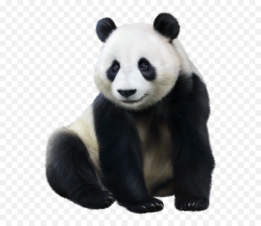 Zoo Animals Cute Baby Animals - Giant Panda Emoji,Emotions In Zoo Animals